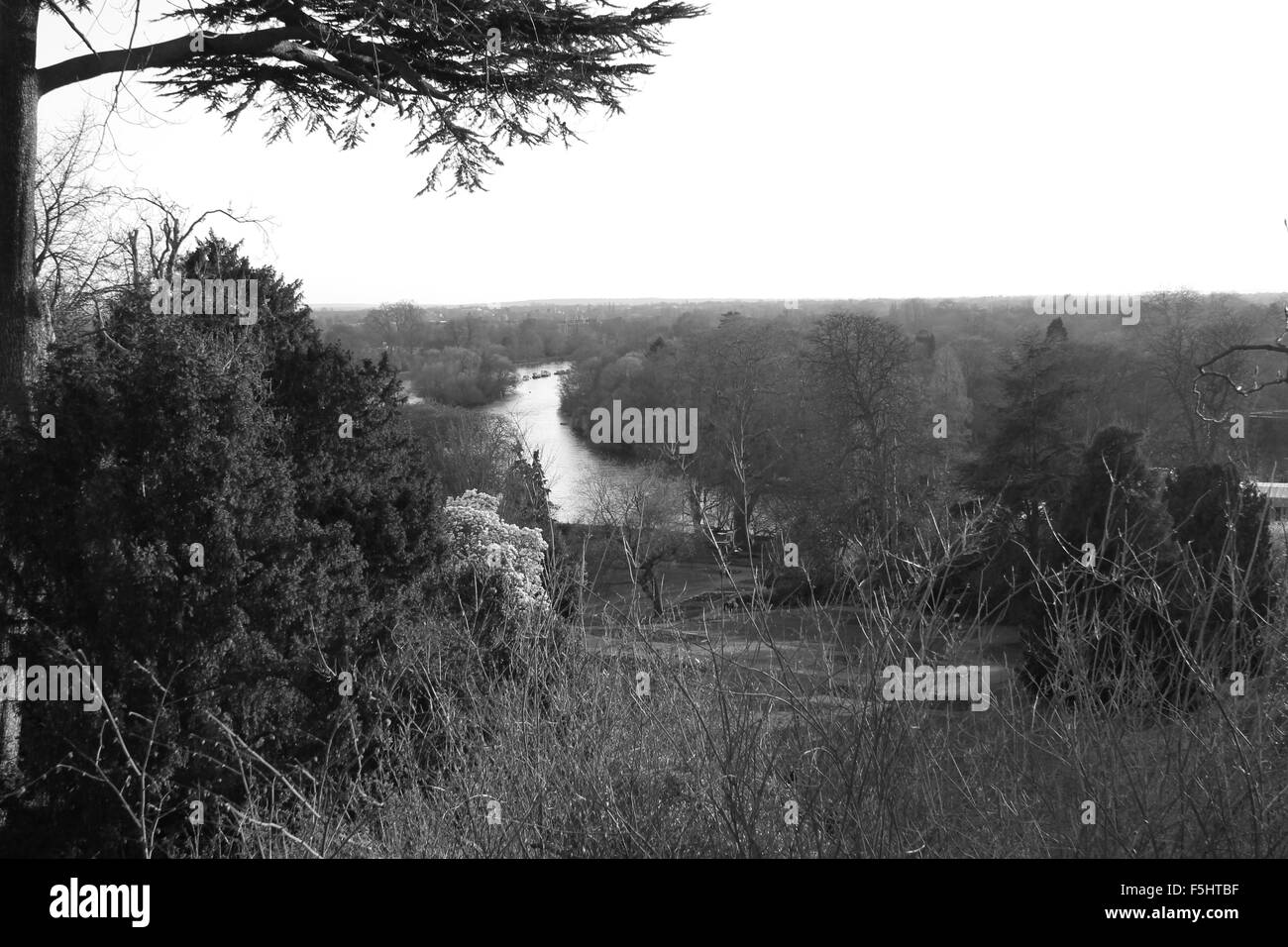 Vista del fiume Tamigi da Richmond Hill a Richmond, Richmond-upon-Thames, London, Regno Unito Foto Stock