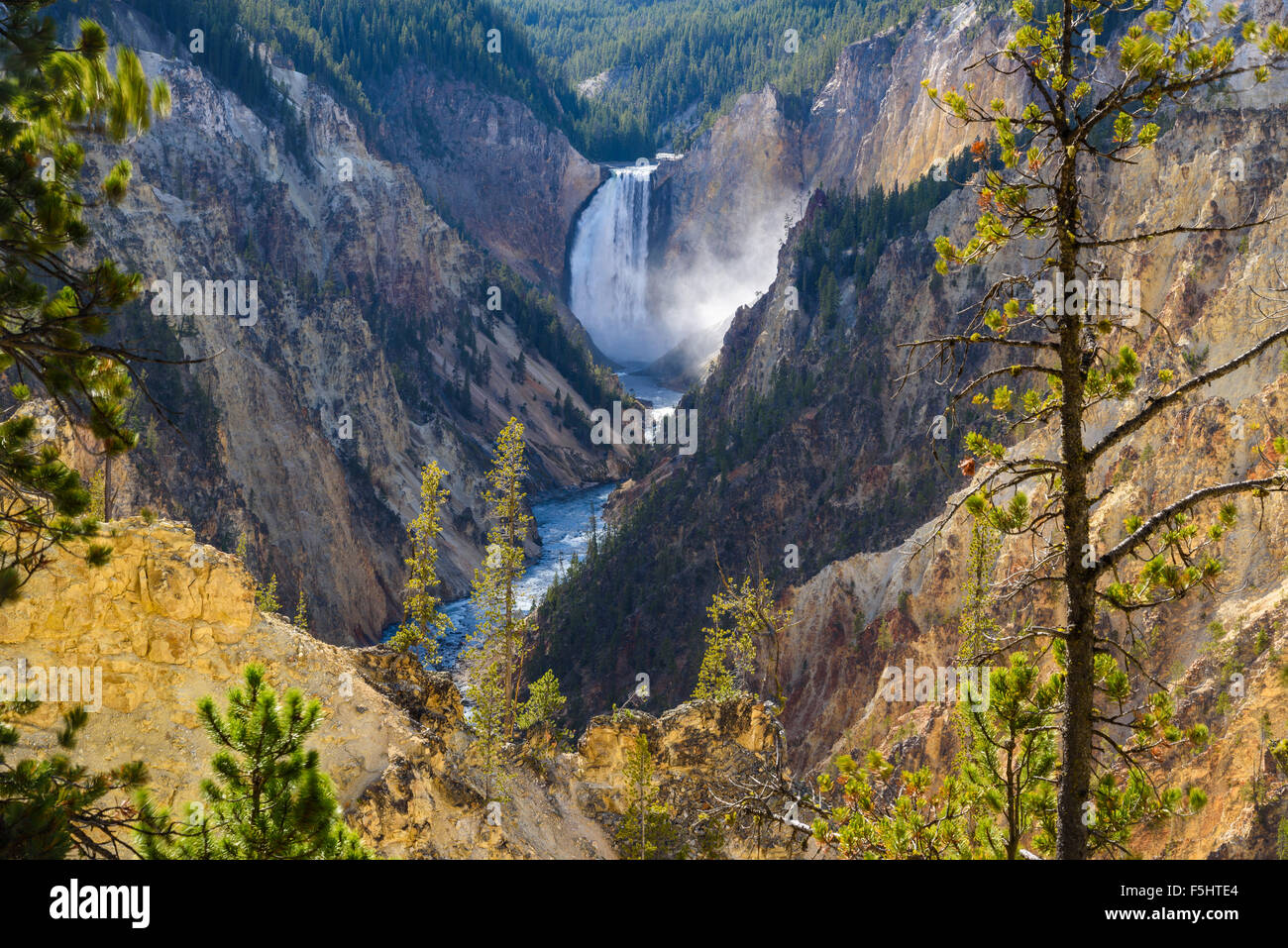 Le cascate Inferiori e il Grand Canyon di Yellowstone, dal punto di artisti, il Parco Nazionale di Yellowstone, Wyoming USA Foto Stock
