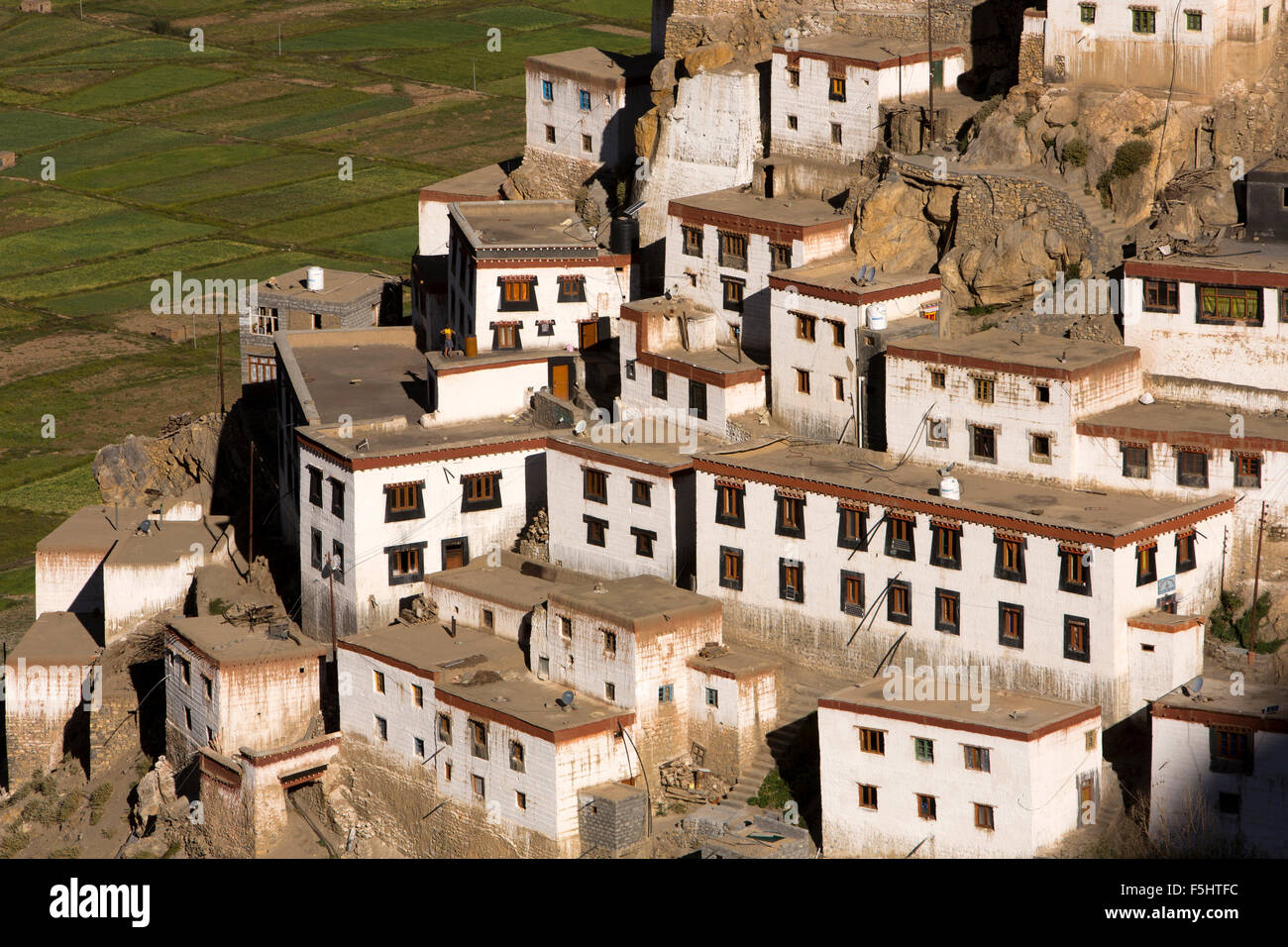 India, Himachal Pradesh, Spiti Valley, chiave monastero, del monaco quarti di collina in Early Morning Light Foto Stock