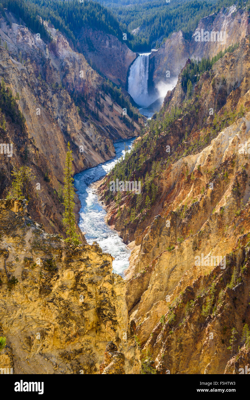 Le cascate Inferiori e il Grand Canyon di Yellowstone, dal punto di artisti, il Parco Nazionale di Yellowstone, Wyoming USA Foto Stock