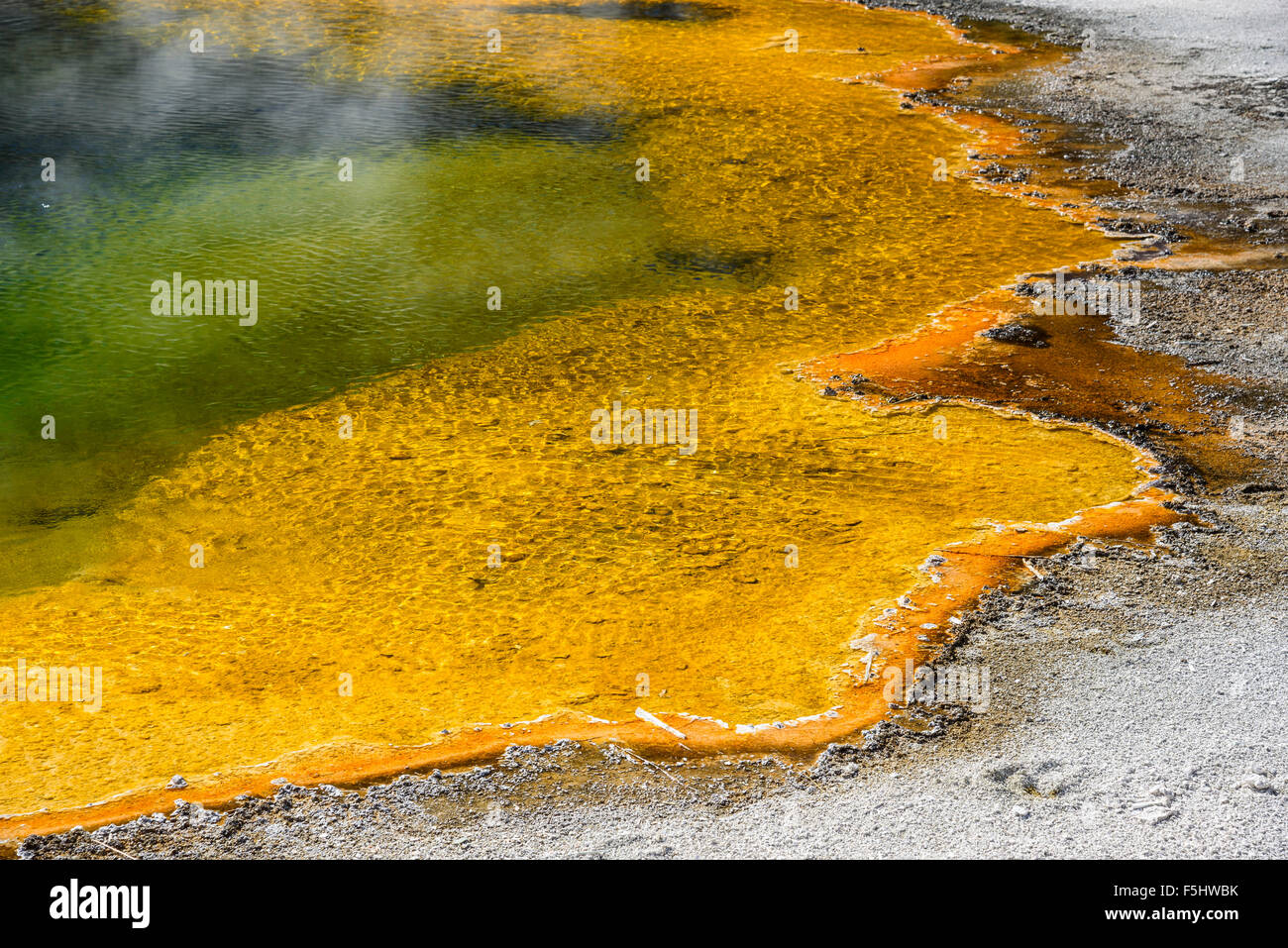 Piscina smeraldo, sabbie nere Geyser Basin, il Parco Nazionale di Yellowstone, Wyoming USA Foto Stock