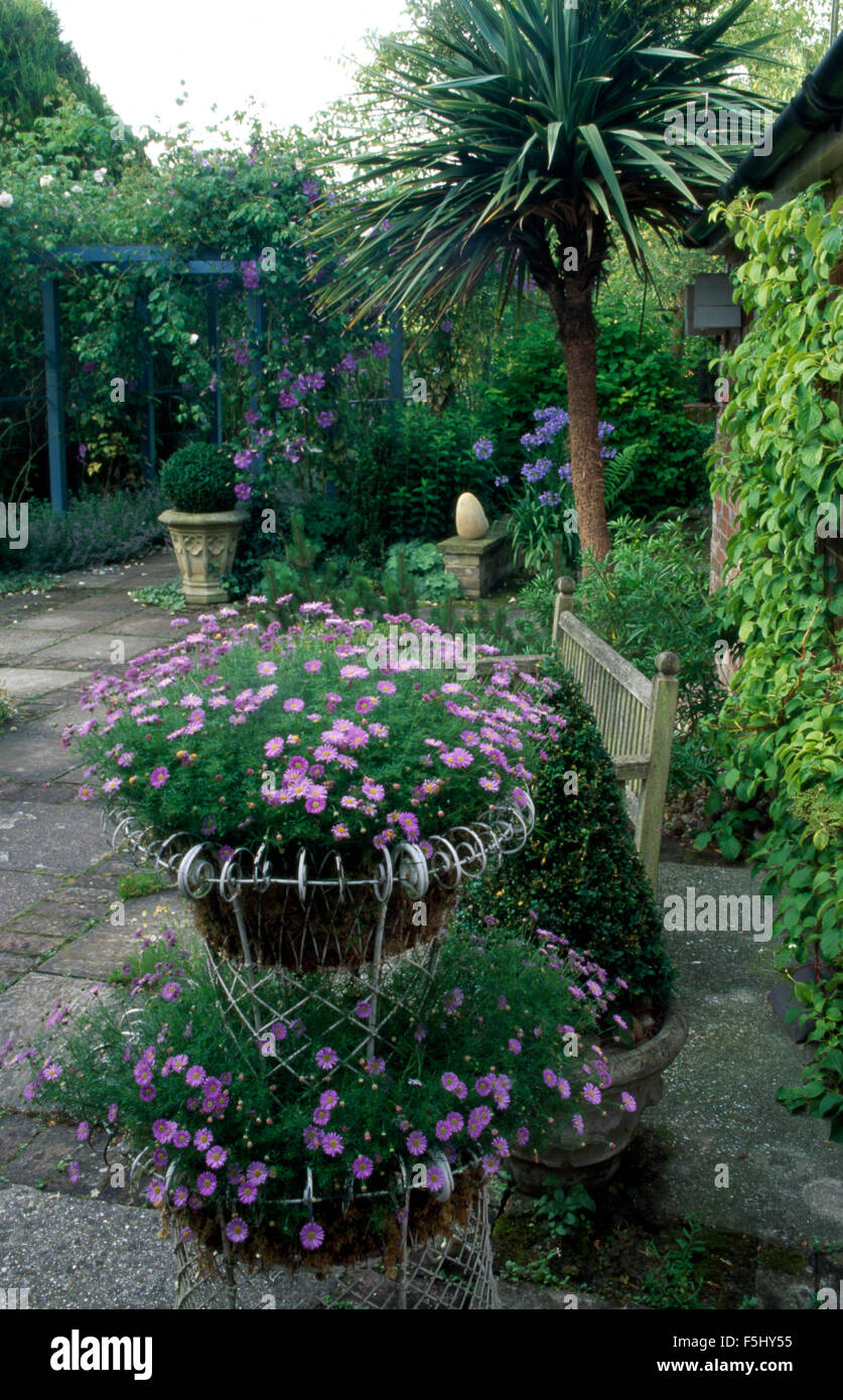 Fiore blu annuari in tiered wirework cesti sulla terrazza nel giardino di campagna Foto Stock