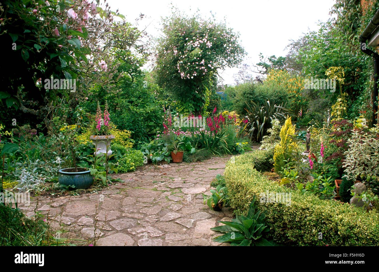 Crazy sentiero lastricato tra confini refilato con bassa copertura nel paese giardino in estate Foto Stock
