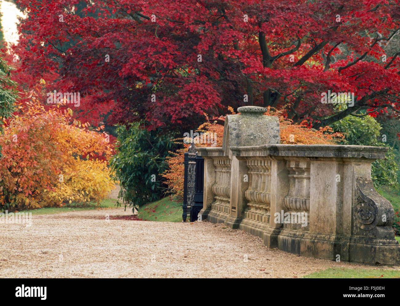 Alberi in colore di autunno accanto a ponte con balaustra in pietra nel paese grande giardino Foto Stock