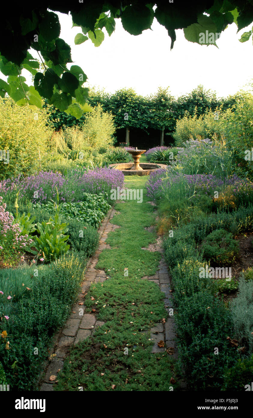 La camomilla piantato sul percorso di mattoni tra ampi confini con erbe e lavanda in paese grande giardino Foto Stock
