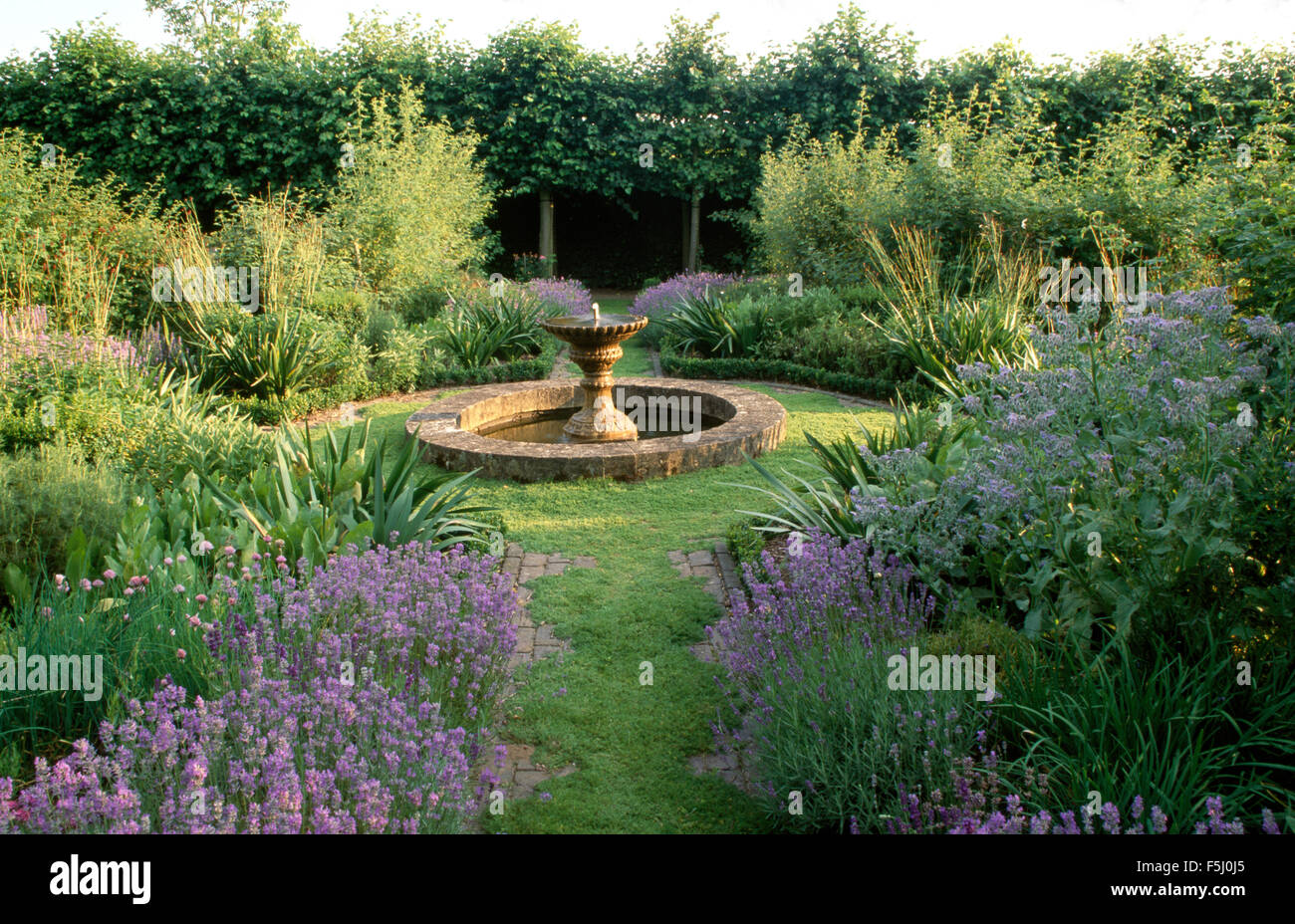 Lavanda e borragine in bordi su entrambi i lati di un percorso di camomilla per una piscina circolare e una fontana in un paese giardino Foto Stock