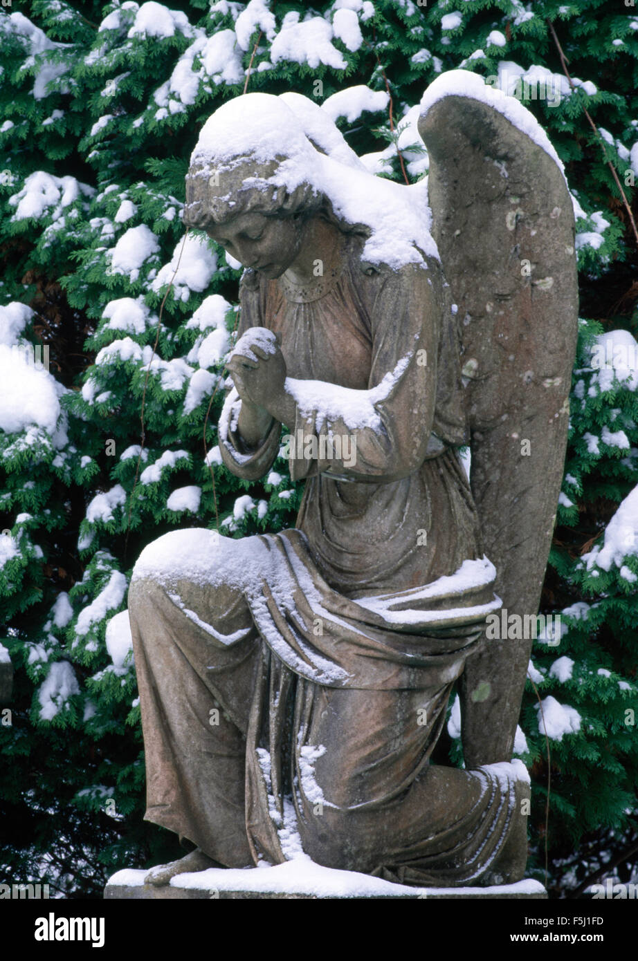 Close-up di una coperta di neve angelo di pietra Foto Stock