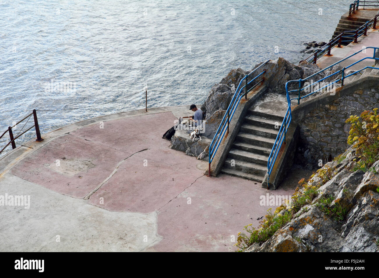 Uomo a suonare la chitarra con pet Jack Russell cane sulle rocce a livello del mare da Plymouth Hoe, Devon, Inghilterra Foto Stock