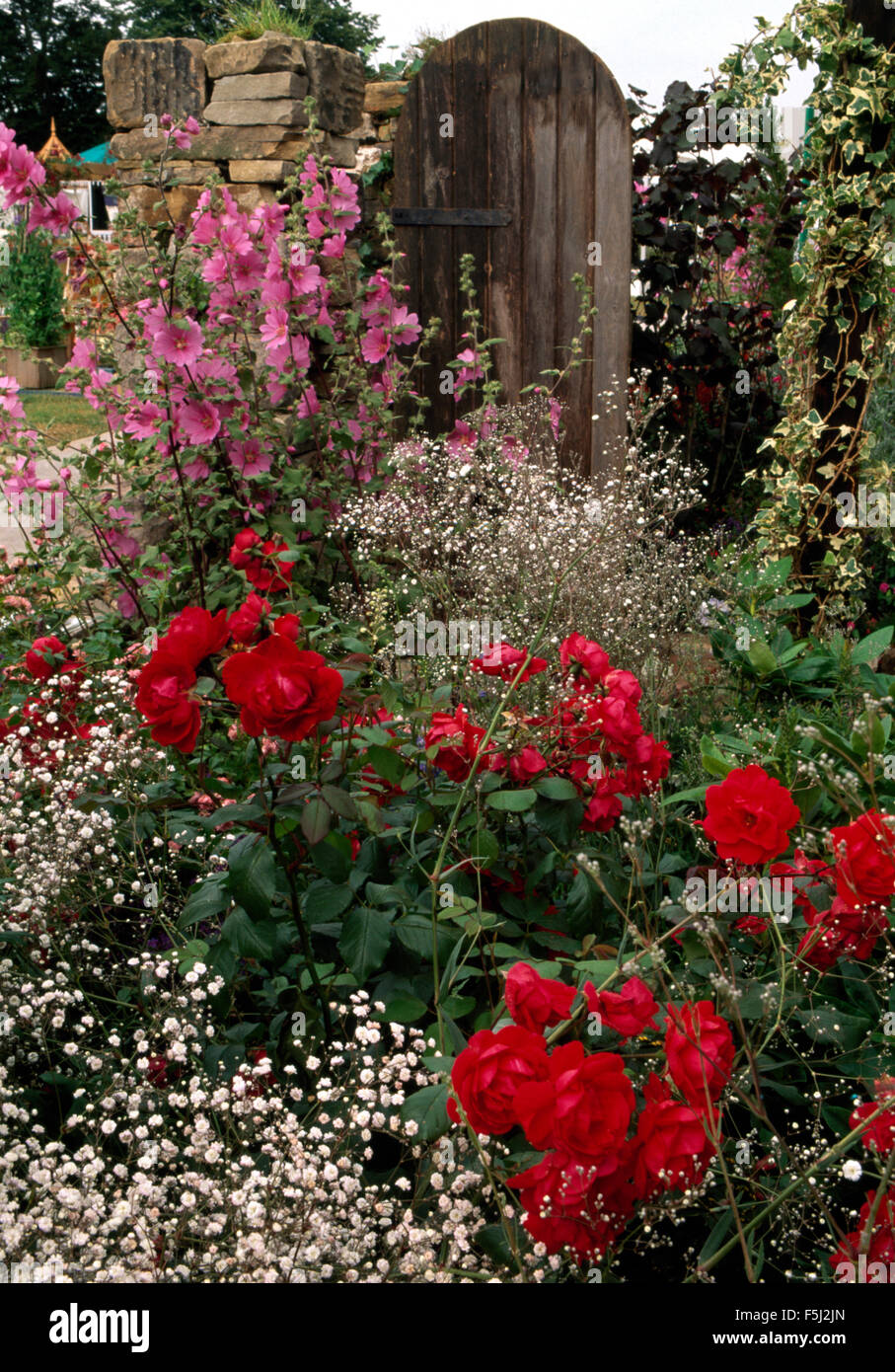 Bianco con gypsophila lavatera rosa e rose rosse in estate confine Foto Stock