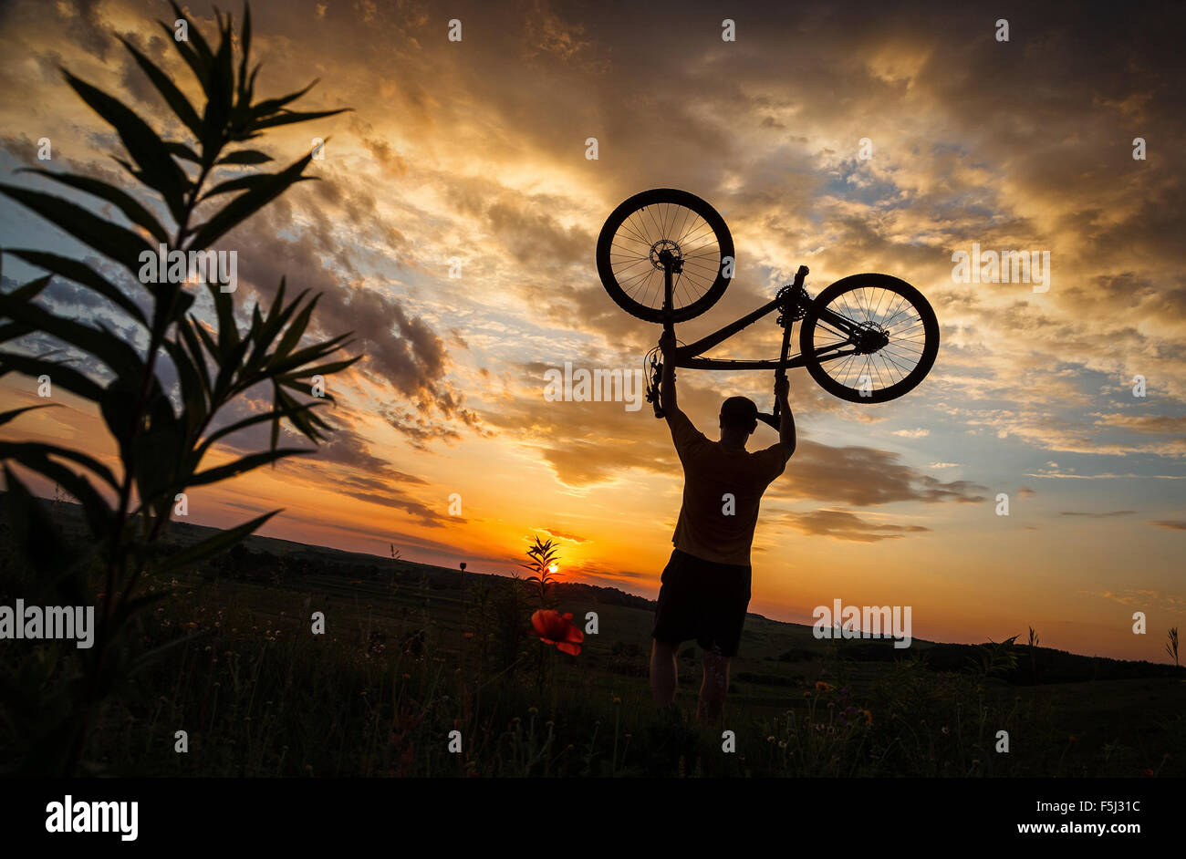 Silhouette di un ciclista Foto Stock