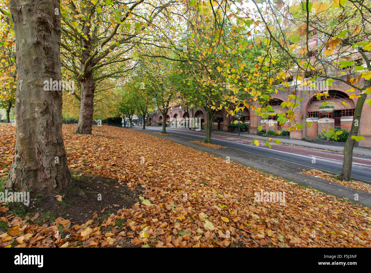 Castle Green, Broadmead, Bristol, Regno Unito. Foto Stock