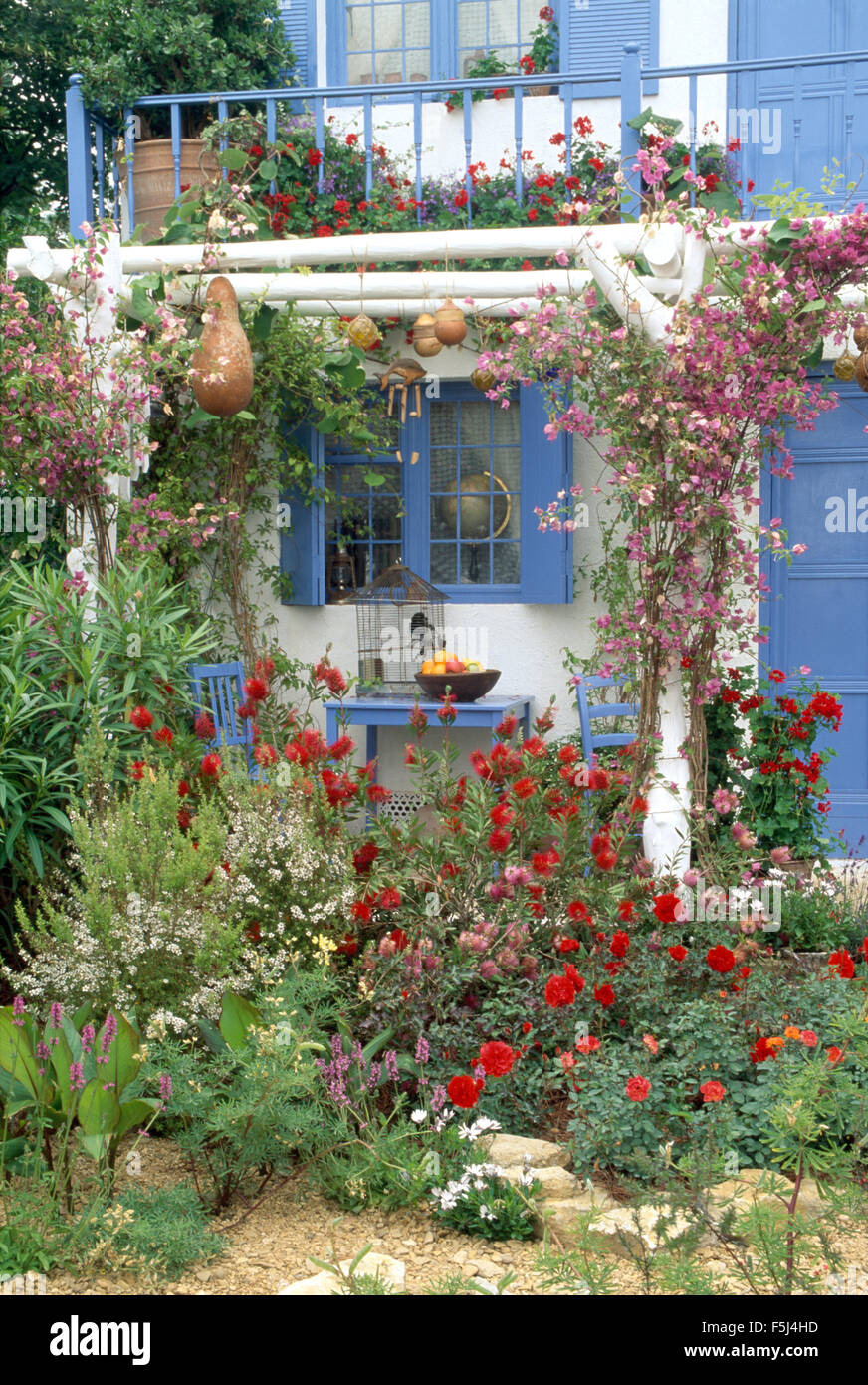 Bouganville rosa su blu casa francese con un balcone e finestre con persiane blu Foto Stock