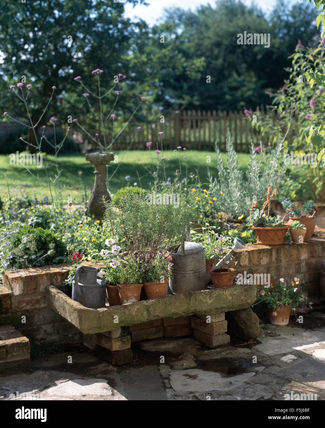 Vasi di erbe e di zinco galvanizzato annaffiatoio in un antico acquaio in pietra sul patio Foto Stock