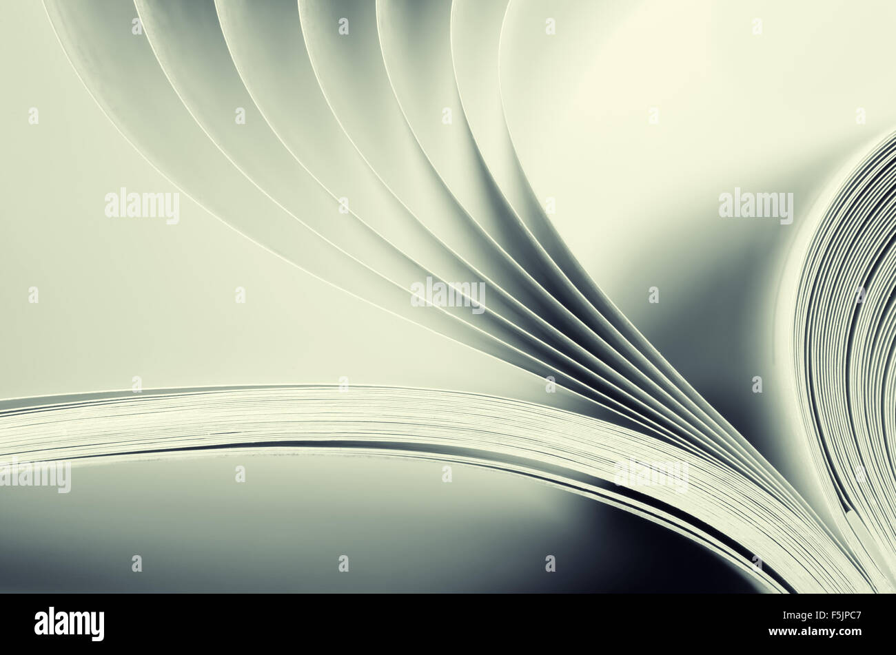 Vista Macro delle pagine di un libro. Tonica Foto Stock