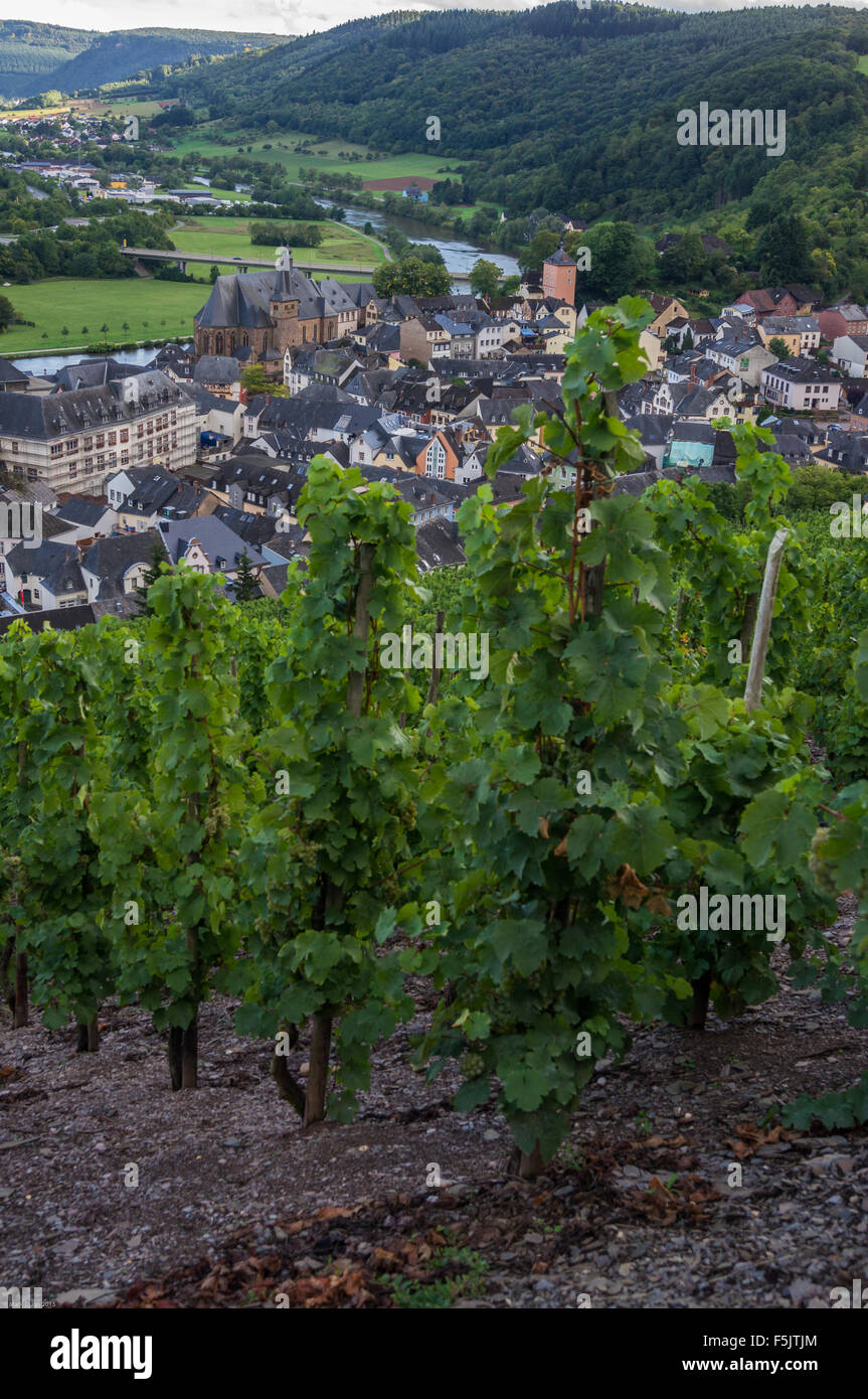 Saarburg visto da Saarburger Rausch vigneto, Saarburg, Renania-Palatinato, Germania Foto Stock