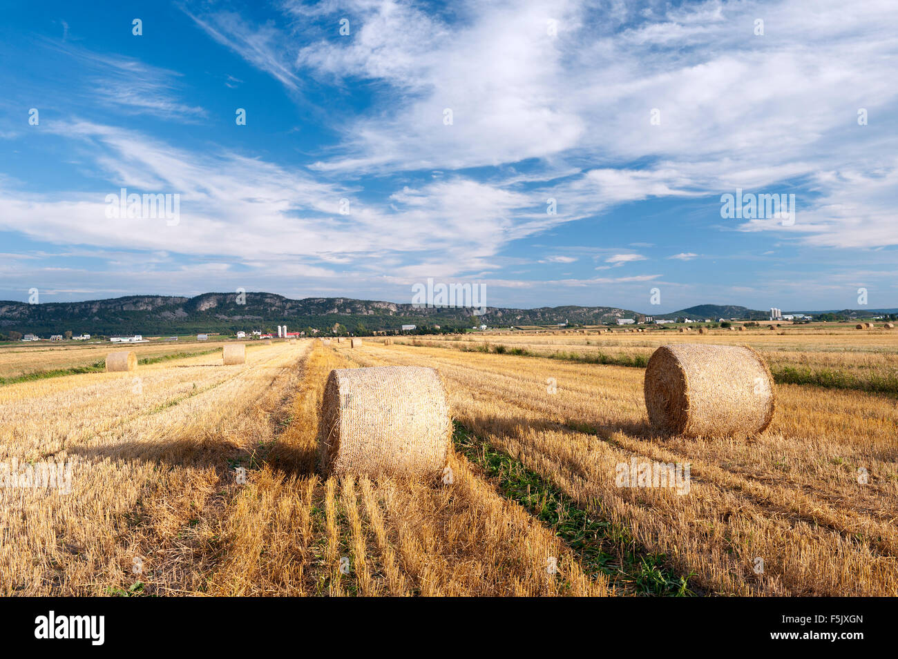 Le balle di fieno in un campo nei pressi di Kamouraska, provincia del Québec in Canada. Foto Stock