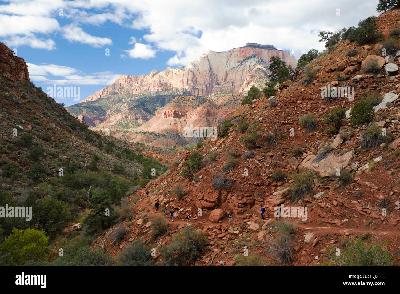 La Sentinella sentiero escursionistico, parco nazionale Zion, Utah, Stati Uniti d'America. Foto Stock