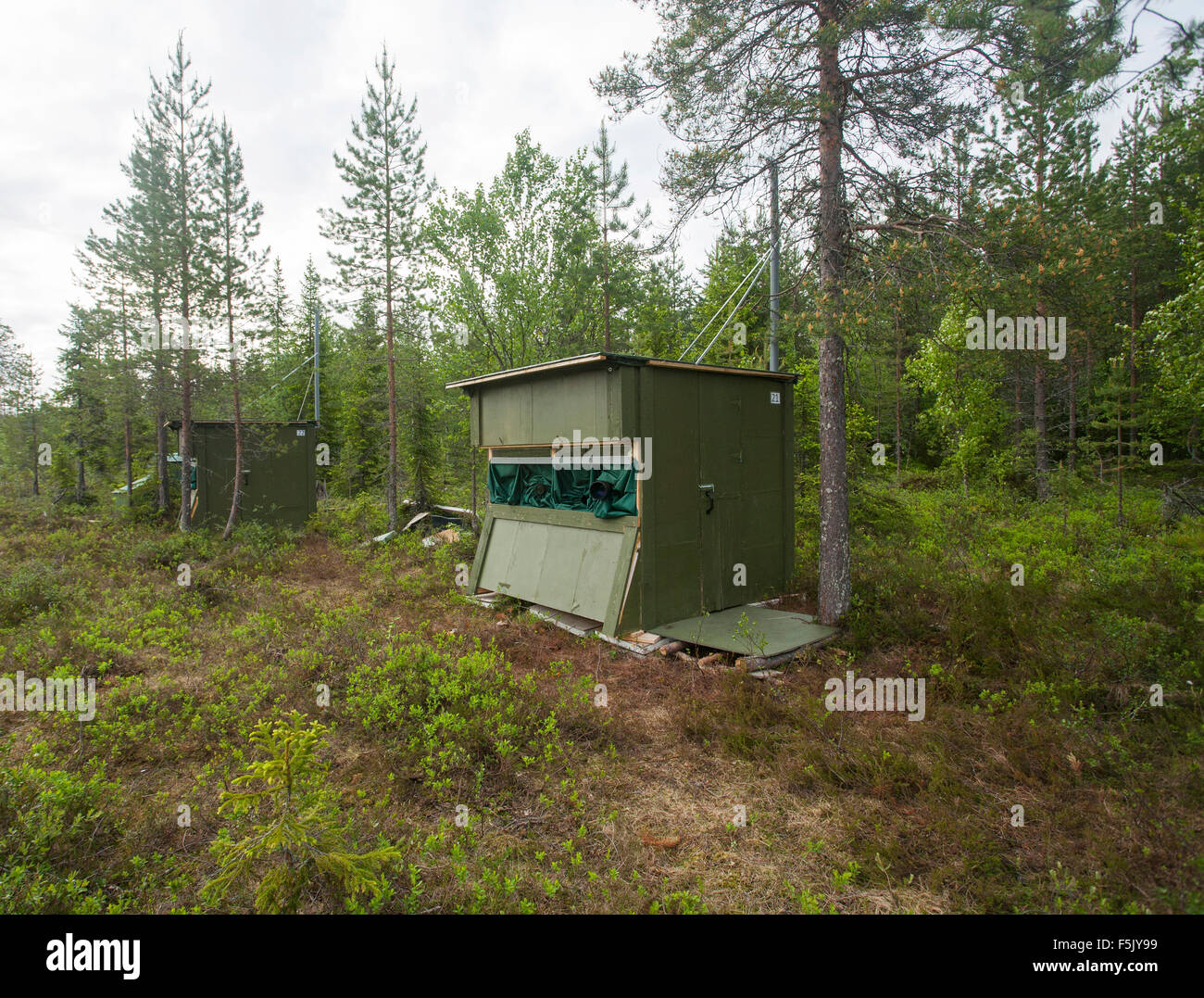 Osservazione lodges nella Taiga Finlandese, Kainuu, Nord della Karelia, Finlandia Foto Stock