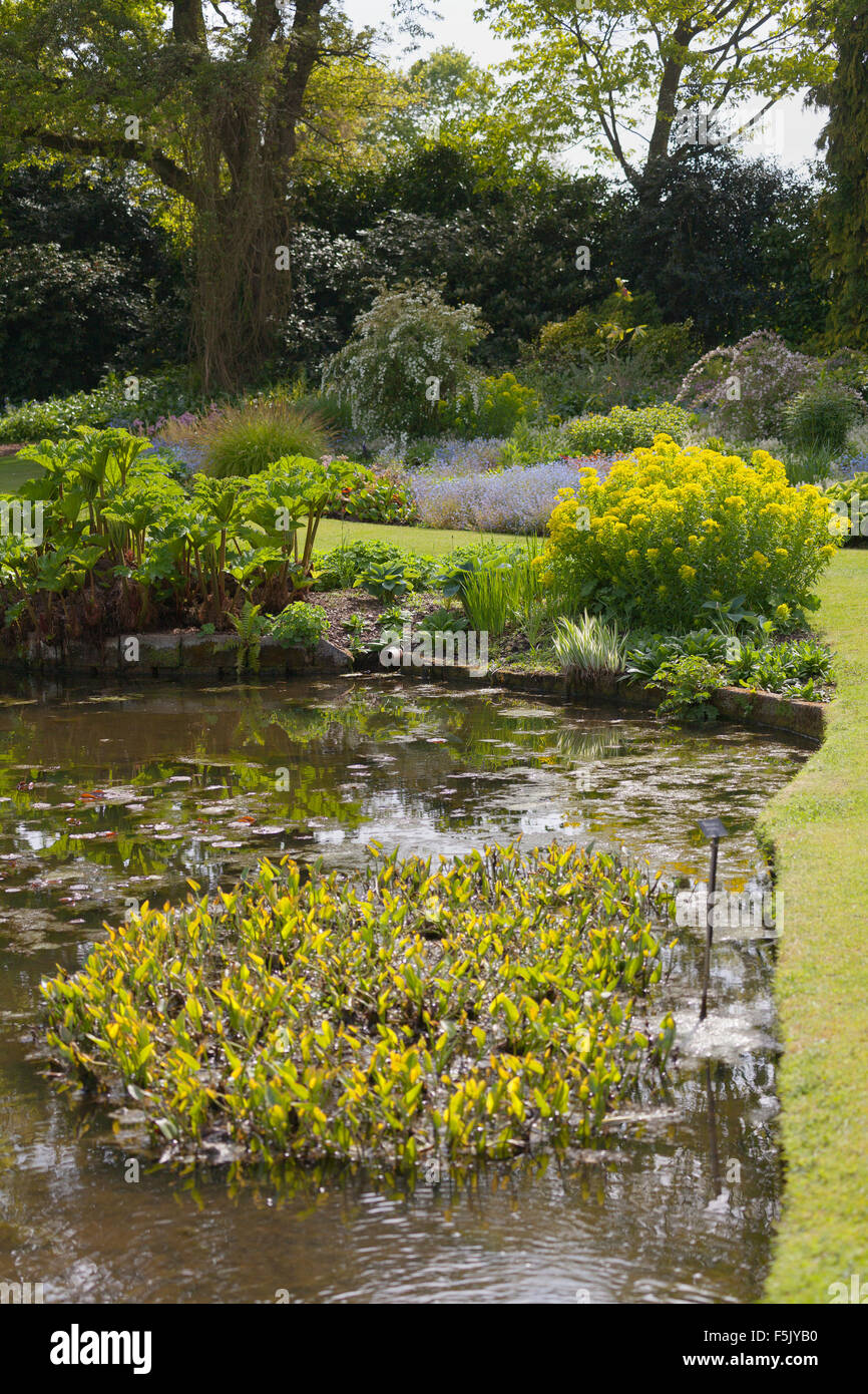 Beth Chatto Gardens Foto Stock