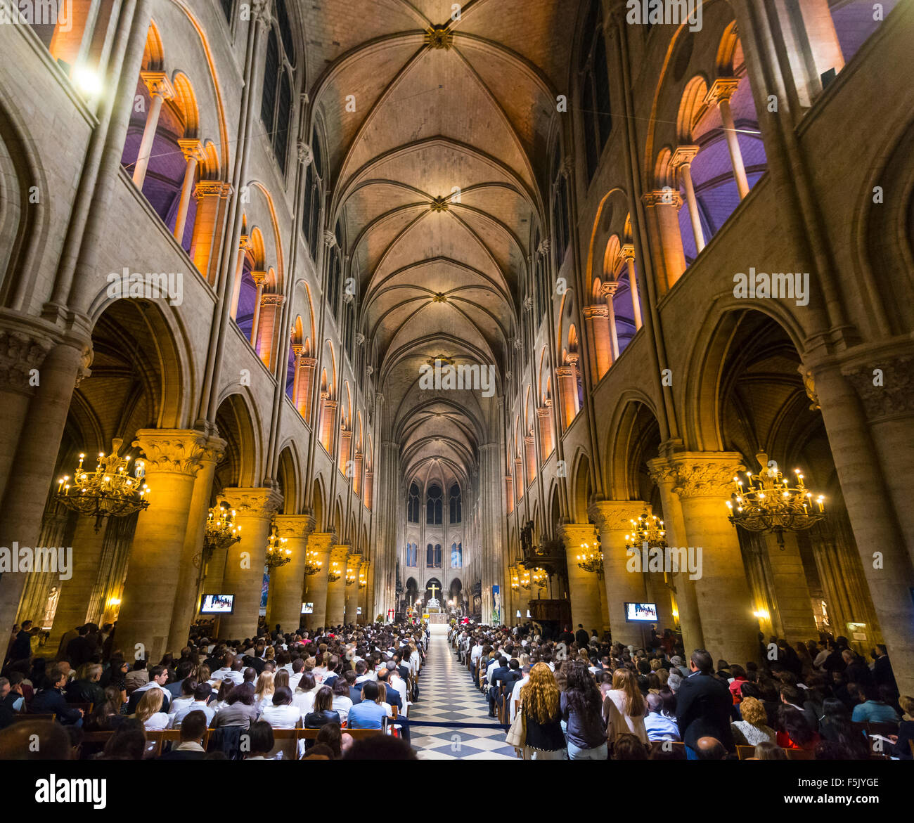 La cattedrale di Notre Dame, interno, facciata occidentale, Ile de la Cite, Parigi, regione Ile-de-France, Francia Foto Stock