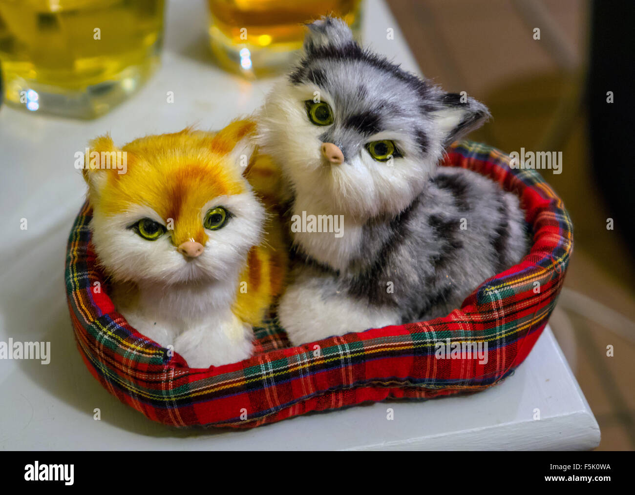 Due graziosi toy cays in tartan cestello, guardando la fotocamera Foto Stock