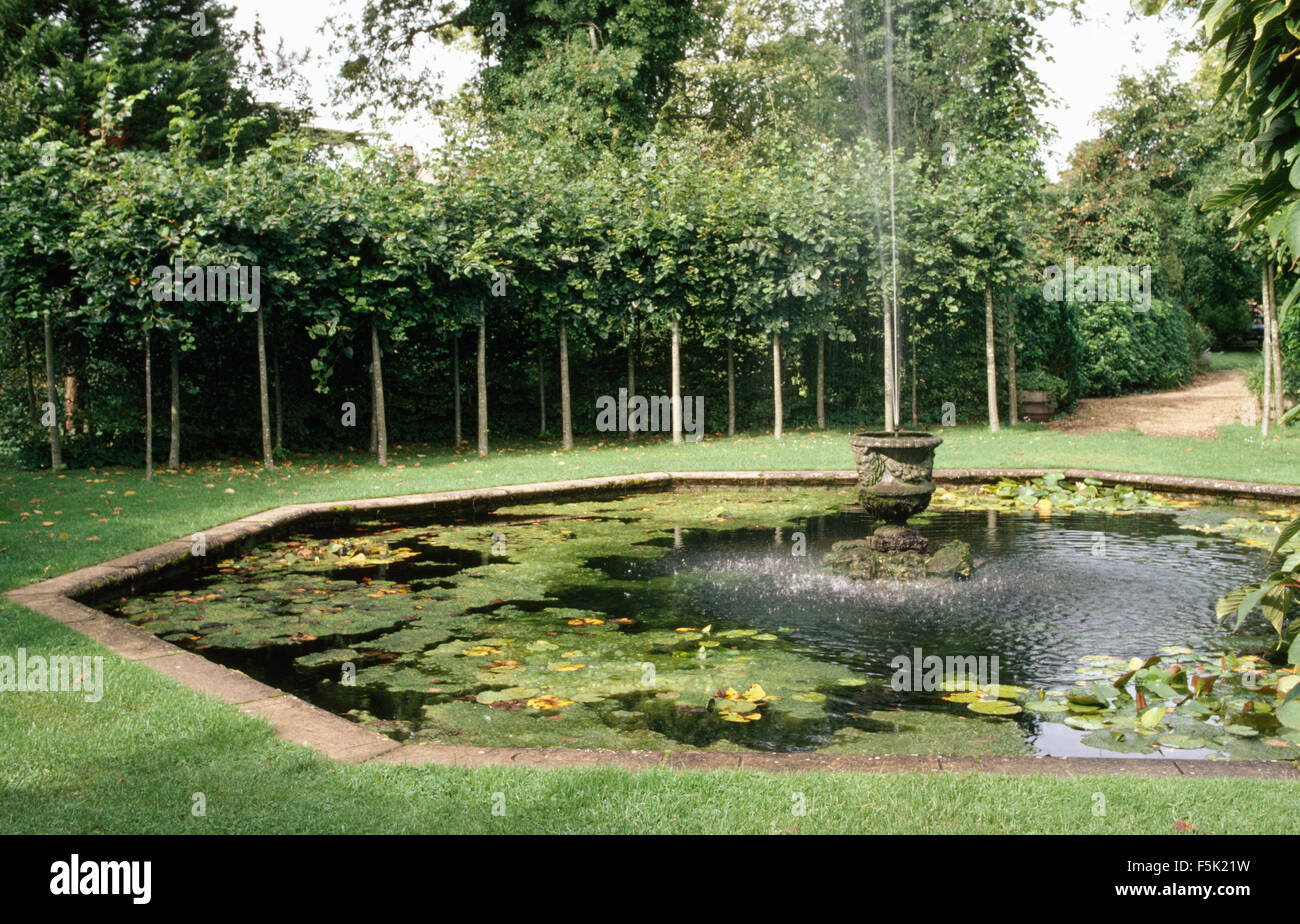 Fontana e ninfee in piscina esagonale con una fila di alberi pleached in background Foto Stock