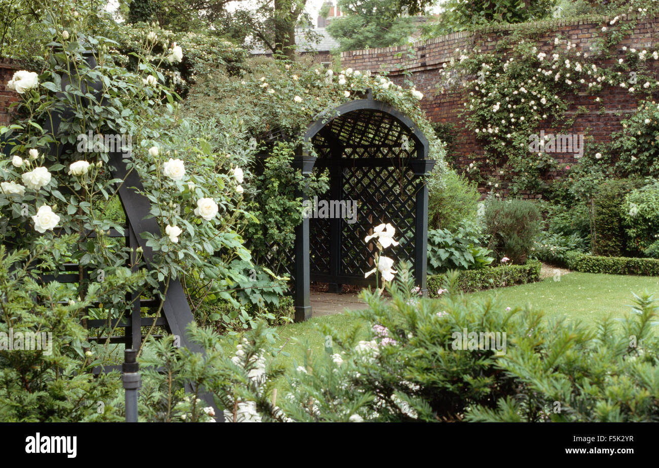 White rose rampicanti su gazebo in legno in un grande giardino murato in estate Foto Stock White rose rampicanti su gazebo in legno in un grande giardino murato in estate Foto Stock