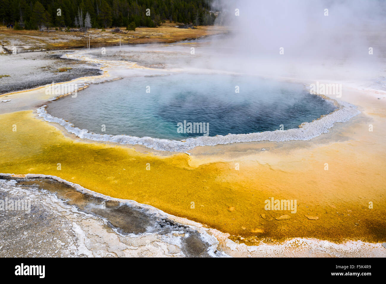 Crested Pool, Upper Geyser Basin, il Parco Nazionale di Yellowstone, Wyoming USA Foto Stock