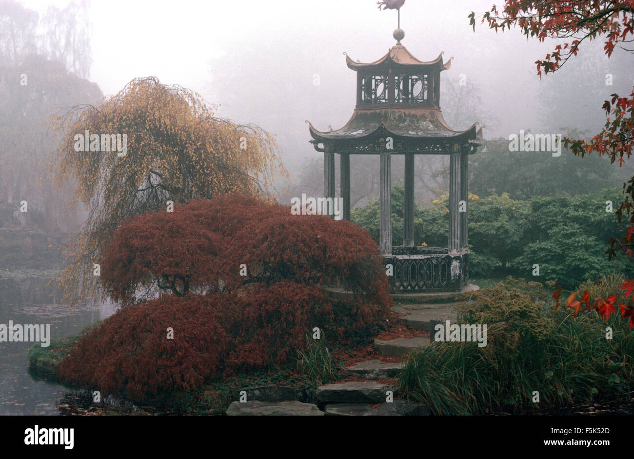 Acer accanto a passi alla pagoda cinese accanto a un lago in una nebbiosa autunnale di giardino Foto Stock