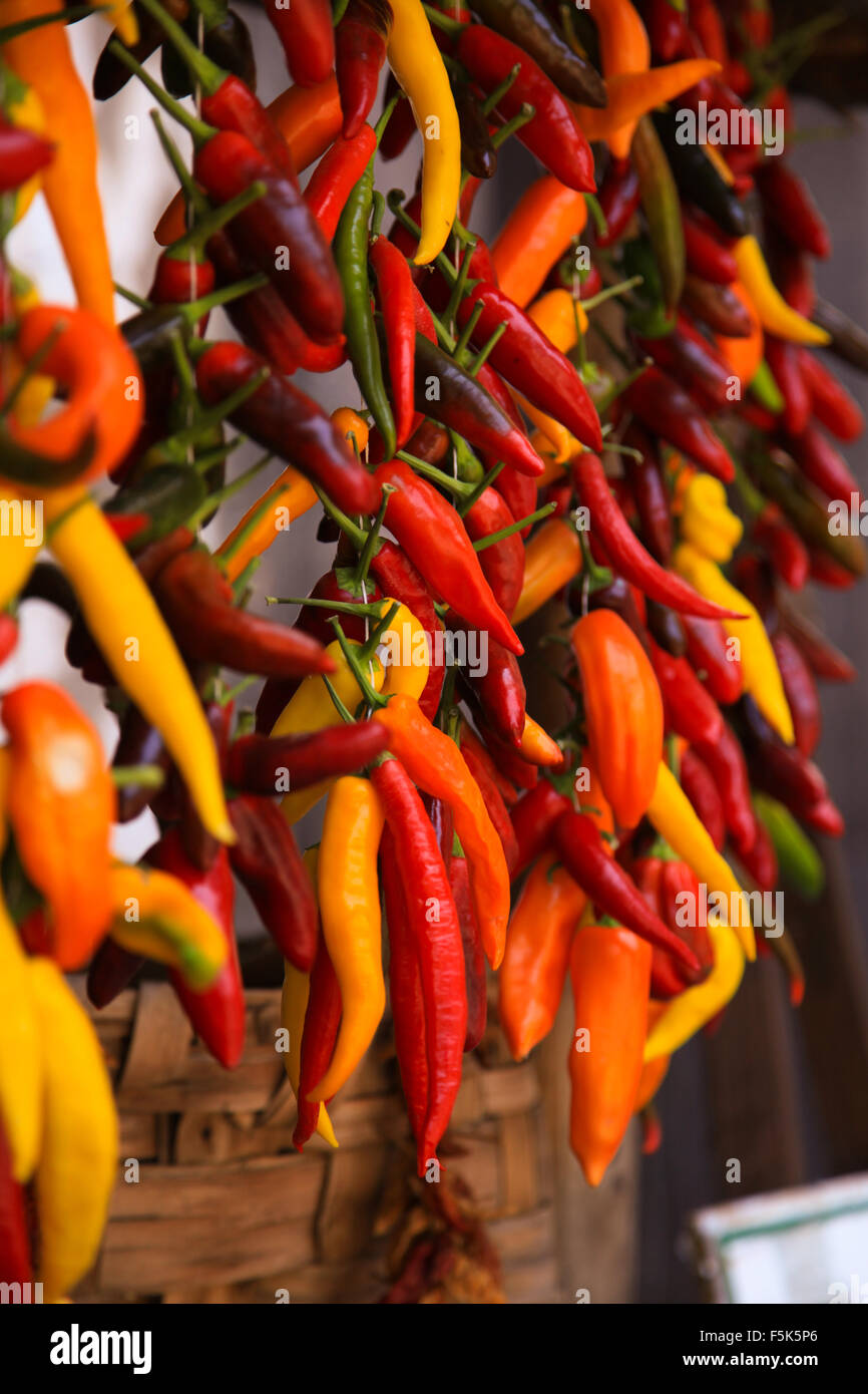 Il giallo e il rosso dei peperoncini rossi essiccazione nel sole del mediterraneo, Fiery Hot il gusto della Sun Red one sono di solito i più caldi per la cottura. Foto Stock