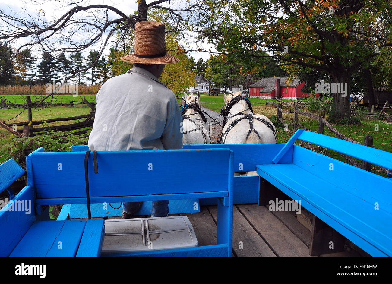 Lancaster, Pennsylvania: Driver nel tubo di stufa cappello di paglia nel suo colore blu sightseeing carro tirato da due cavalli bianchi * Foto Stock