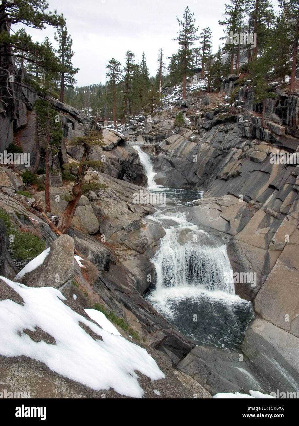 Oct 26, 2004; Yosemite, CA, Stati Uniti d'America; il Parco Nazionale di Yosemite è quasi 1.200 miglia quadrate di scenic wild terre ritirate dalla produzione in 1890 da John Muir per preservare la centrale Sierra Nevada gamma. Compresa tra 2.000 piedi sopra il livello del mare a più di 13.000 piedi, il parco ha natura alpina, 3 boschetti di sequoie giganti e il Parco Nazionale di Yosemite Valley. Chiamato 'l'Incomparabile Valley, ' Yosemite è un ghiacciaio scolpito canyon. Saltando le cascate, cupole arrotondate, enormi monoliti, e torreggianti scogliere ha ispirato i pittori, poeti, fotografi, e milioni di visitatori. Prati aperti con fiori selvaggi, boschi di quercia, conifere f Foto Stock