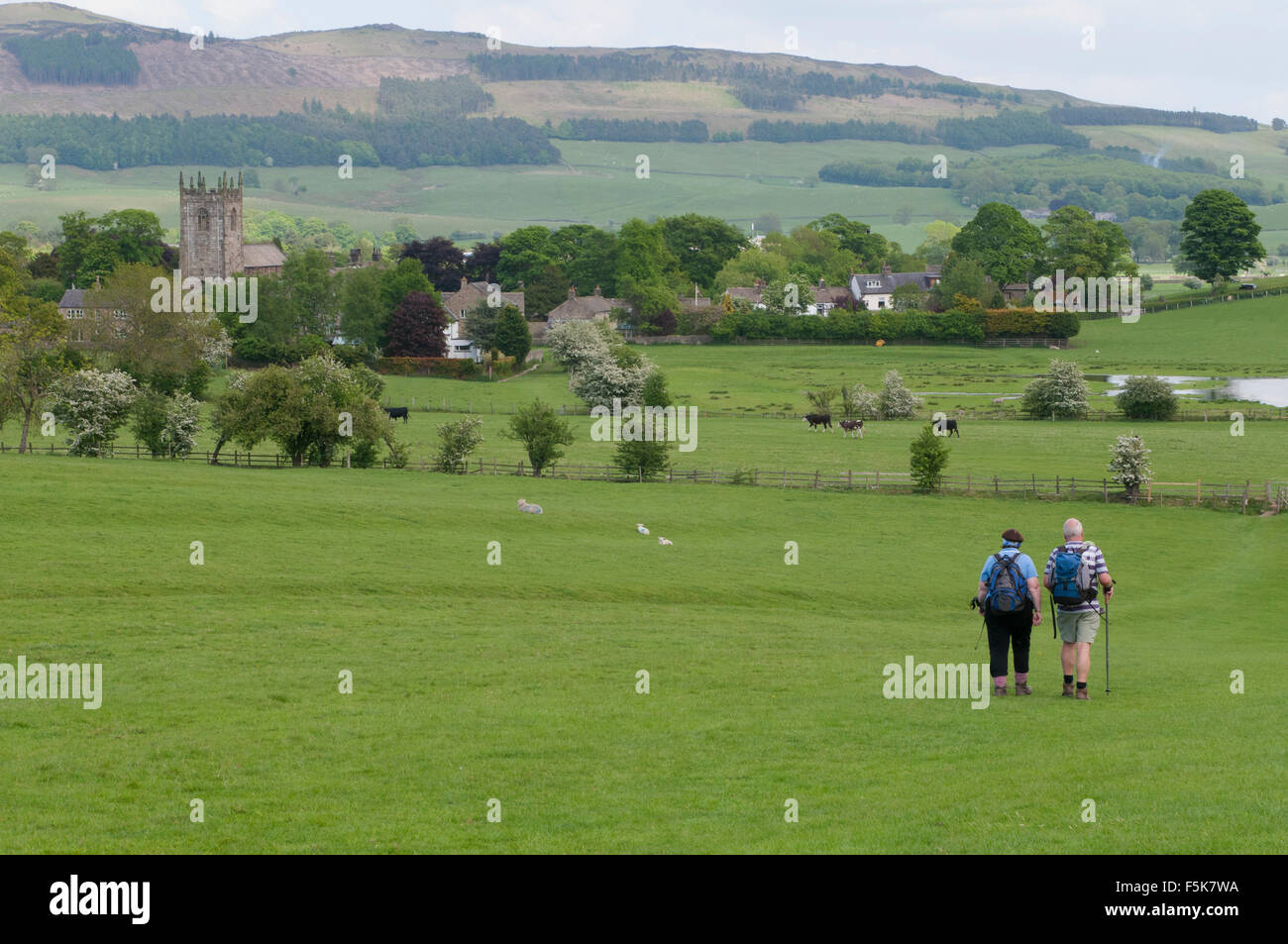 Paio di ramblers nella splendida campagna a piedi attraverso un campo verso le colline & scenico villaggio di Gargrave (North Yorkshire, Inghilterra, Regno Unito). Foto Stock