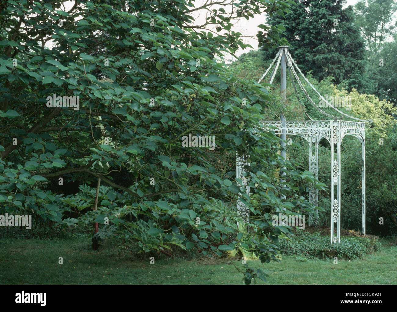 Bianco elegante gazebo in metallo in un paese grande giardino Foto Stock