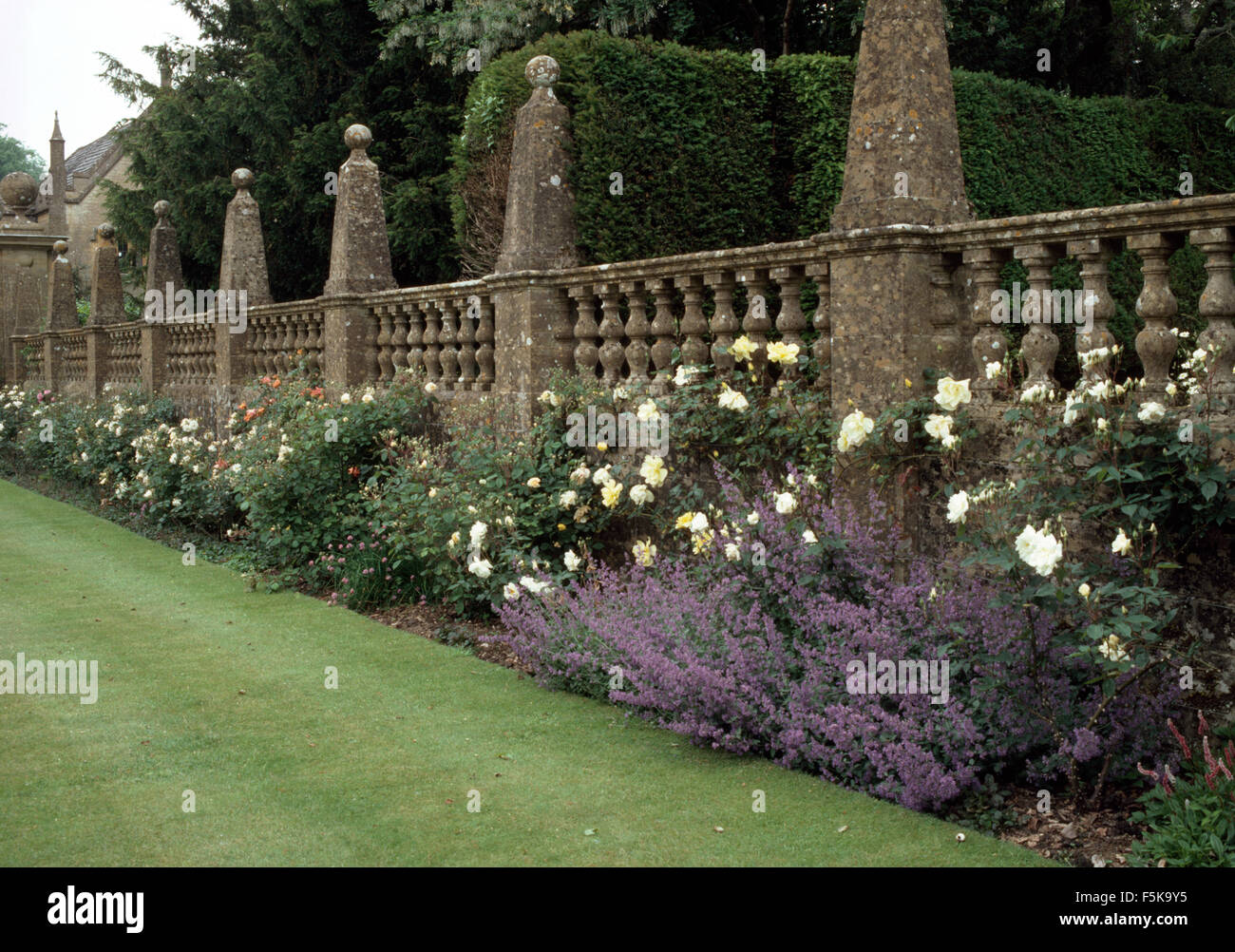Blue nepeta e rose bianche in un ben curato di seguito di confine ballustrade di pietra in un paese grande giardino Foto Stock