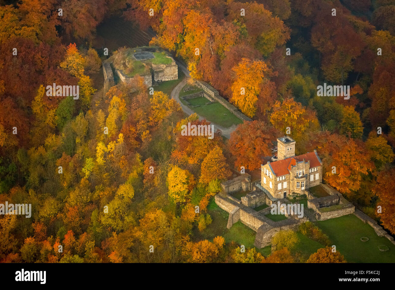 Castello di mantenere Isenburg con foglie di autunno, bosco di latifoglie, Hattingen, regione della Ruhr, Renania settentrionale-Vestfalia, Germania,Ruhrvalley Foto Stock