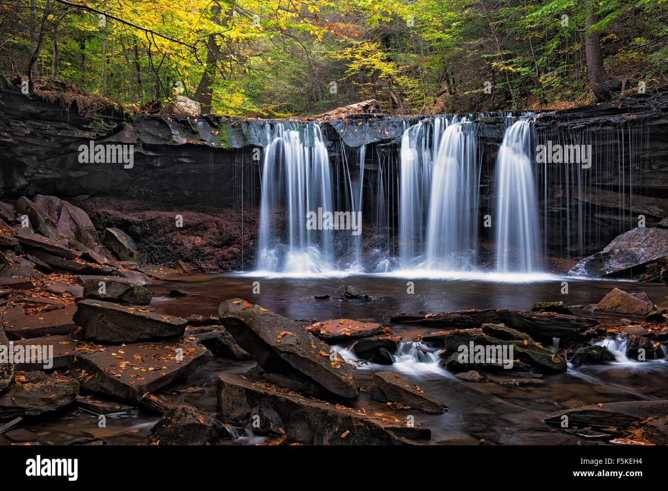 Autunno del flusso di cucina Creek come versare Oneida cade in Pennsylvania's Ricketts Glen State Park. Foto Stock