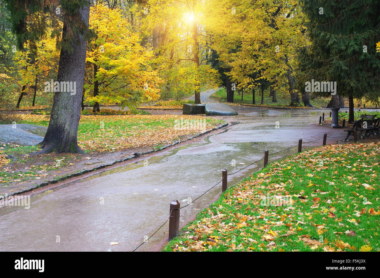 Paesaggio autunnale. Composizione della natura. Foto Stock