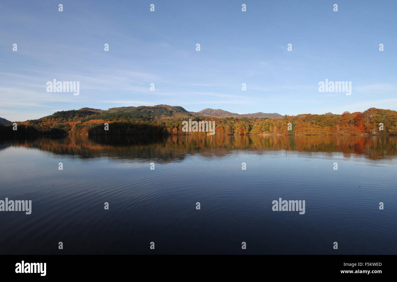 Colore di autunno riflesso in Loch Faskally Scozia Novembre 2015 Foto Stock