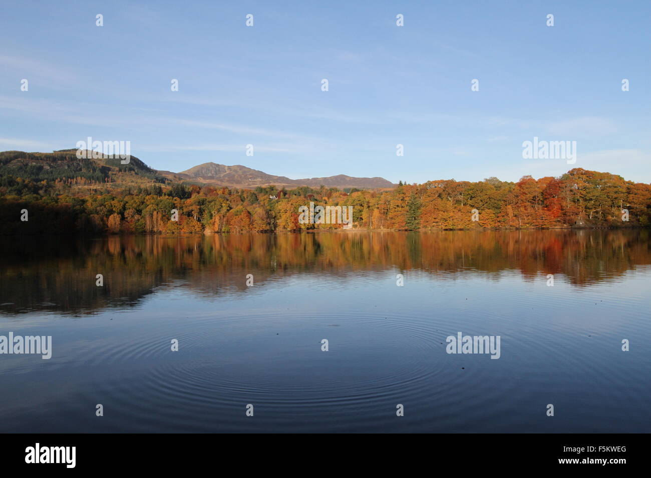 Colore di autunno riflesso in Loch Faskally Scozia Novembre 2015 Foto Stock