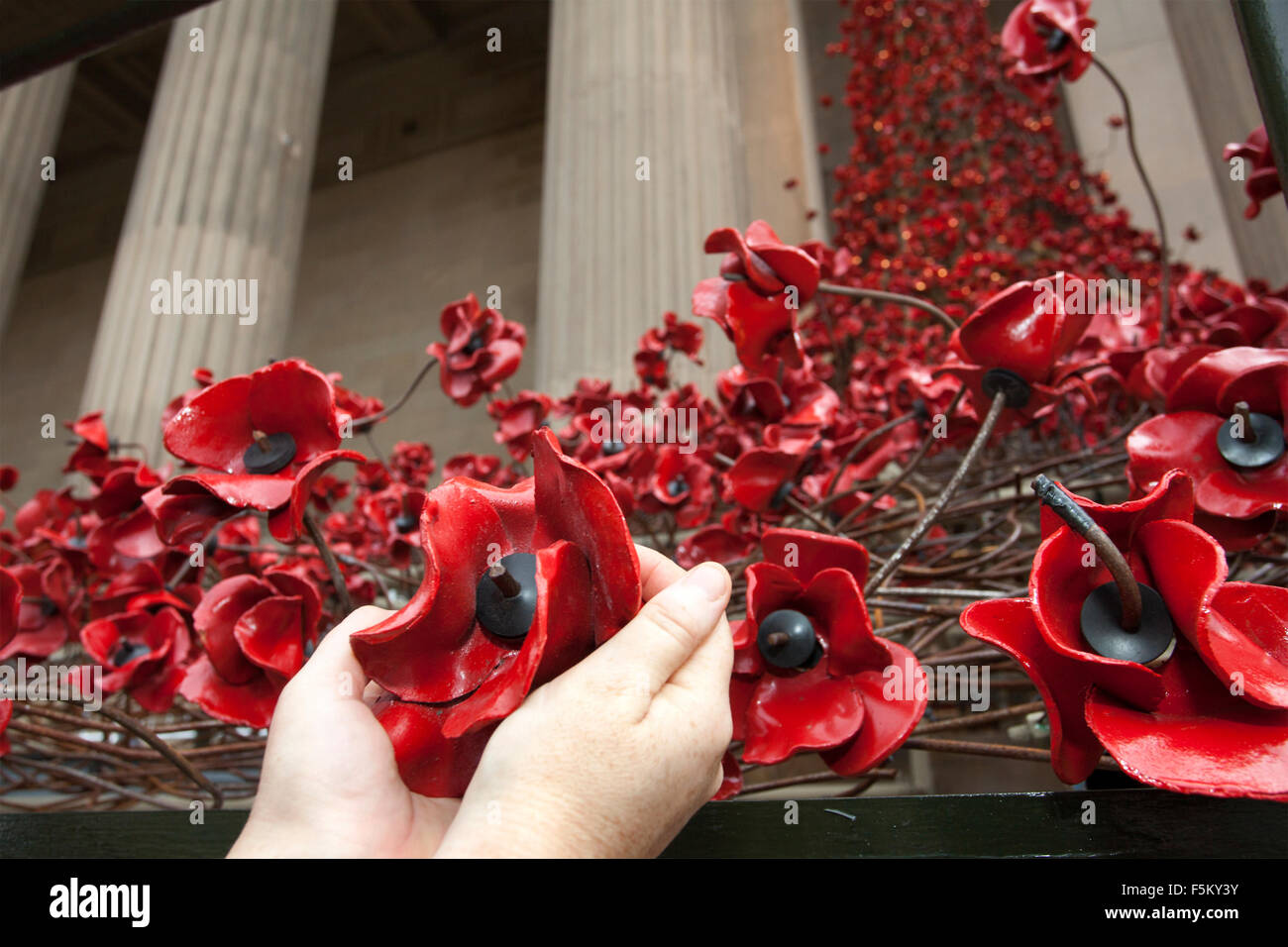 Liverpool, Merseyside, Regno Unito. 6 Novembre, 2015. La "finestra di pianto" Installazione di papavero a St. Georges Hall di Liverpool. La scultura è stata costruita da volontari in occasione della commemorazione di eroi caduti delle due guerre mondiali. I PAPAVERI sarà drappeggiato come un fiume che scorre, meandri giù le fasi di St. Georges Hall. La sorprendente display sarà completato e presentato per ricordo domenica 8 novembre. Credito: Cernan Elias/Alamy Live News Foto Stock