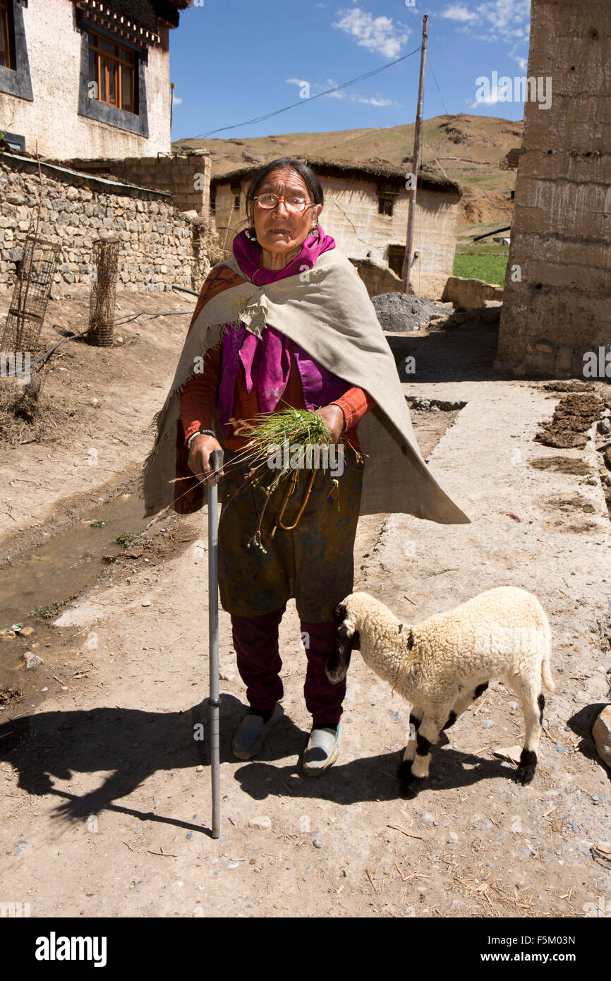 India, Himachal Pradesh, Spiti Valley, Kibber, vecchio villaggio donna con agnello Foto Stock