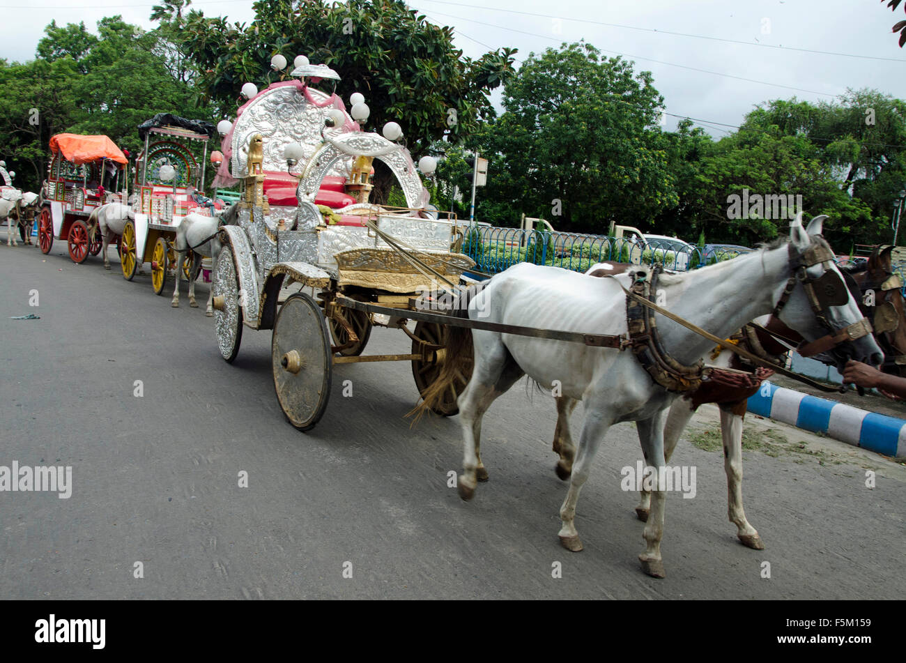 Decorate cavallo carrello, Calcutta, West Bengal, India, Asia Foto Stock