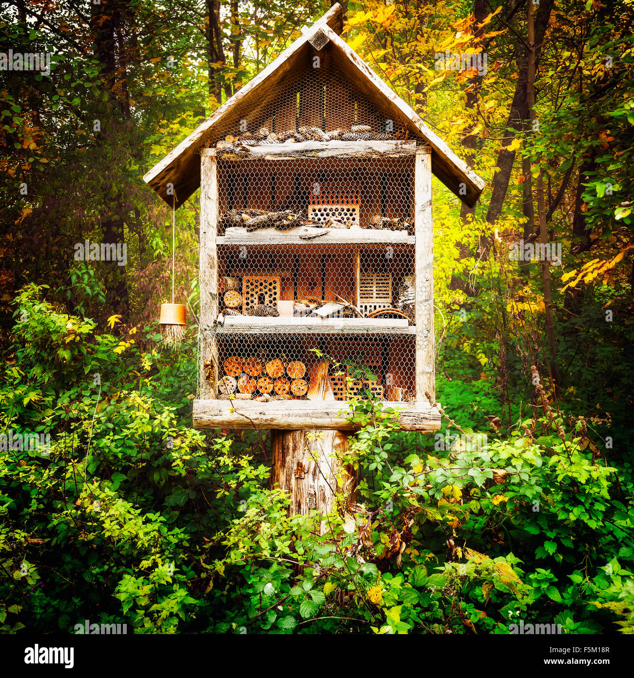 Legno casa di insetti. Bug decorativo hotel nella foresta di autunno Foto Stock