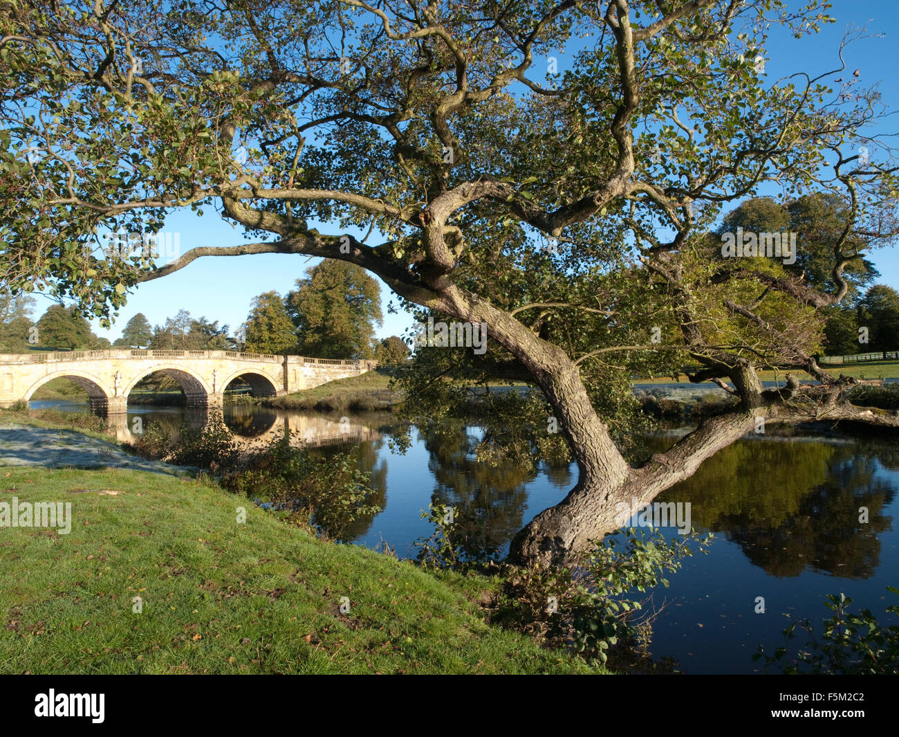 Autunno a Chatsworth, Bakewell Peak District Derbyshire England Regno Unito Foto Stock