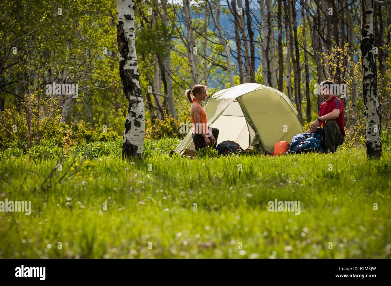 Impostazione di camp sul viaggio zaino in spalla, Uinta National Forest, Montagne Wasatch, Utah, Stati Uniti d'America Foto Stock
