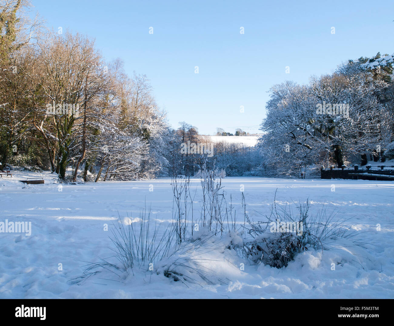 Neve invernale al Gnoll Station Wagon Country Park in Neath Port Talbot Wales UK Foto Stock