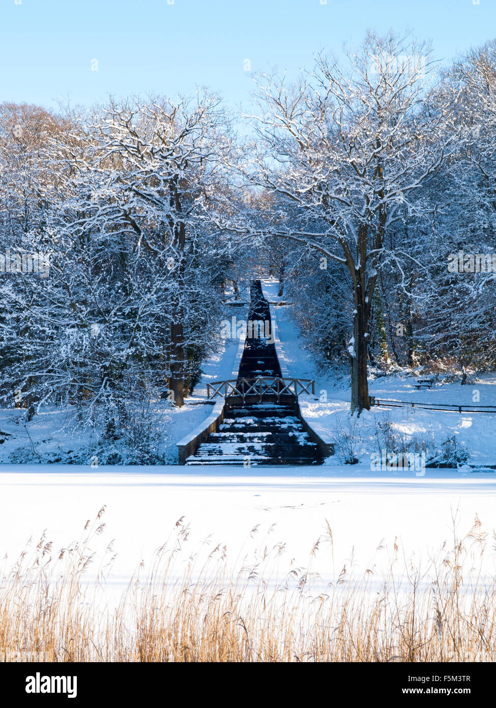 Neve invernale al Gnoll Station Wagon Country Park in Neath Port Talbot Wales UK Foto Stock