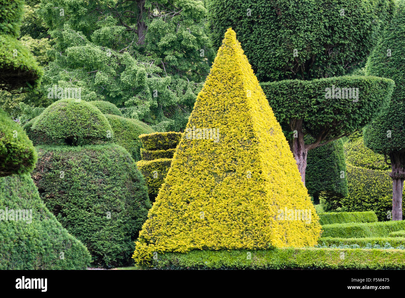 Levens Hall, Cumbria, Regno Unito. Un tardo 16c Manor House famosa per il suo eccentrico topiaria da giardino, di proprietà della famiglia Bagot Foto Stock