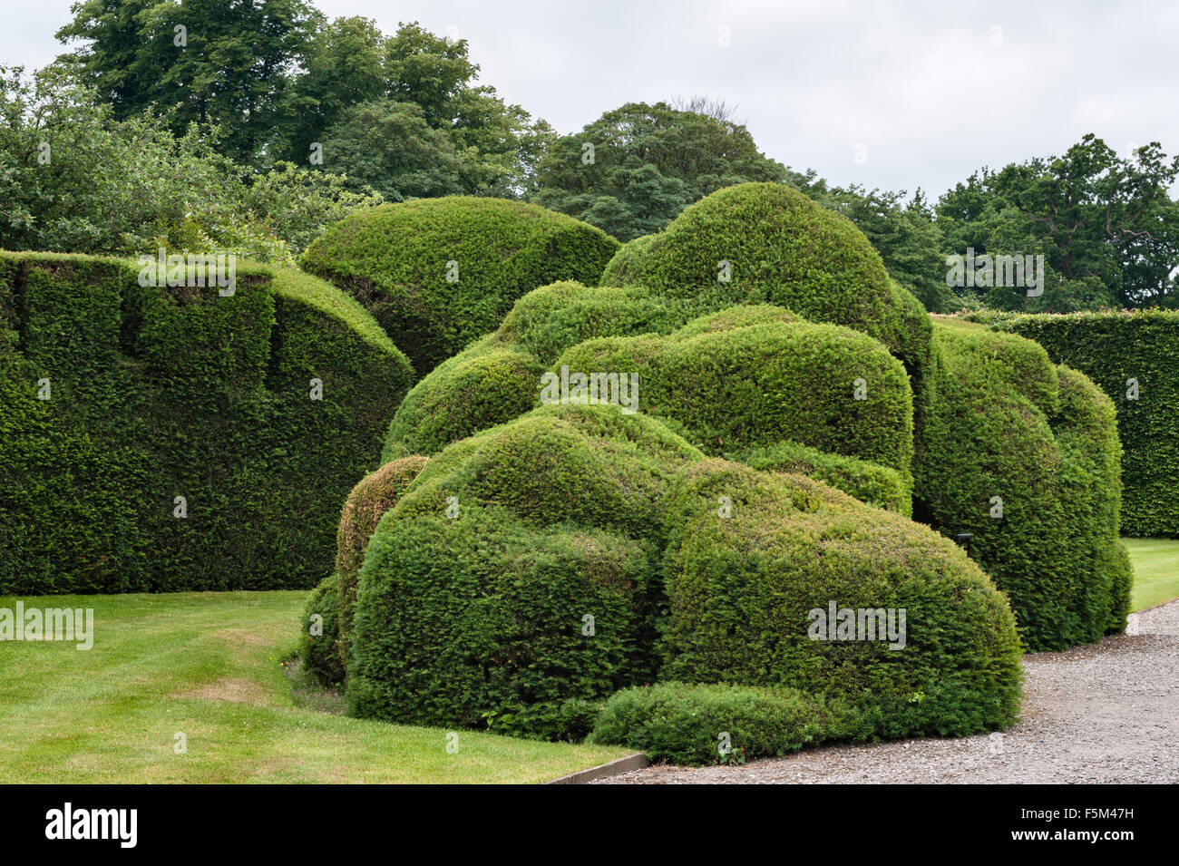 Levens Hall, Cumbria, Regno Unito. Un tardo 16c Manor House famosa per il suo eccentrico topiaria da giardino, di proprietà della famiglia Bagot Foto Stock